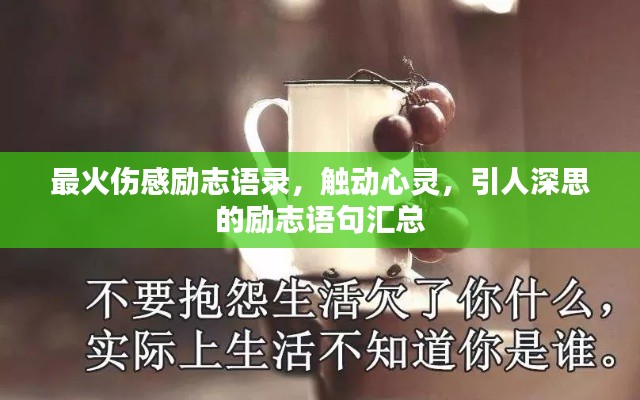 最火伤感励志语录,触动心灵,引人深思的励志语句汇总