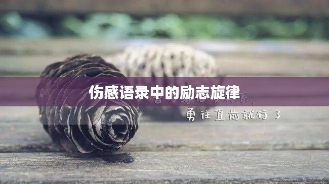 伤感语录中的励志旋律