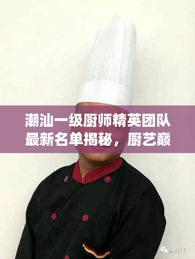 潮汕一级厨师精英团队最新名单揭秘,厨艺巅峰之旅