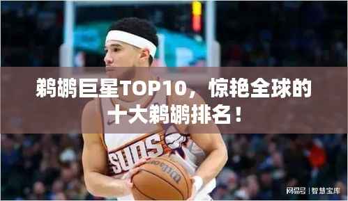 鹈鹕巨星TOP10,惊艳全球的十大鹈鹕排名!