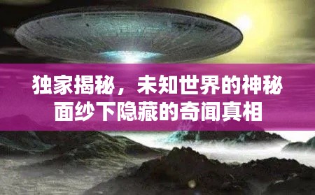 独家揭秘，未知世界的神秘面纱下隐藏的奇闻真相