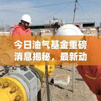 今日油气基金重磅消息揭秘,最新动态一网打尽