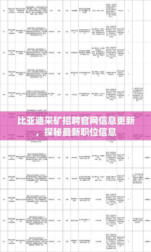 比亚迪采矿招聘官网信息更新,探秘最新职位信息