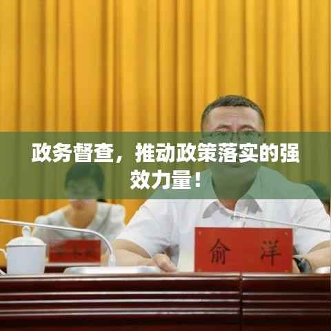 政务督查，推动政策落实的强效力量！