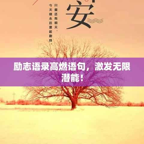 励志语录高燃语句,激发无限潜能!