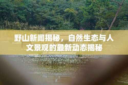 野山新闻揭秘,自然生态与人文景观的最新动态揭秘