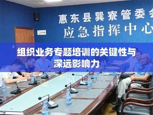 组织业务专题培训的关键性与深远影响力
