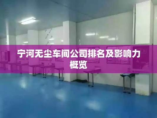 宁河无尘车间公司排名及影响力概览