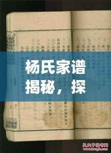 杨氏家谱揭秘,探寻千年家族历史与文化的神秘之旅