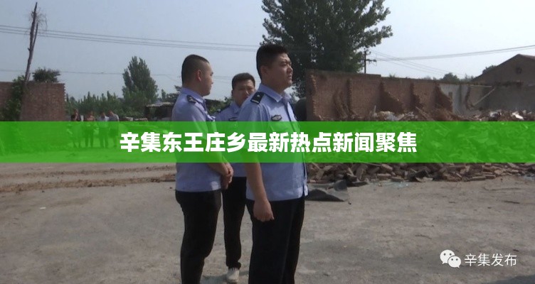 辛集东王庄乡最新热点新闻聚焦