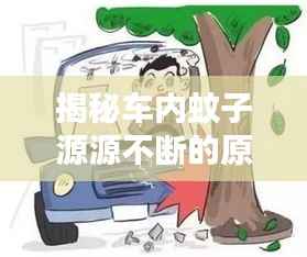 揭秘车内蚊子源源不断的原因及解决方法全解析