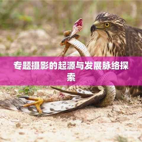 专题摄影的起源与发展脉络探索