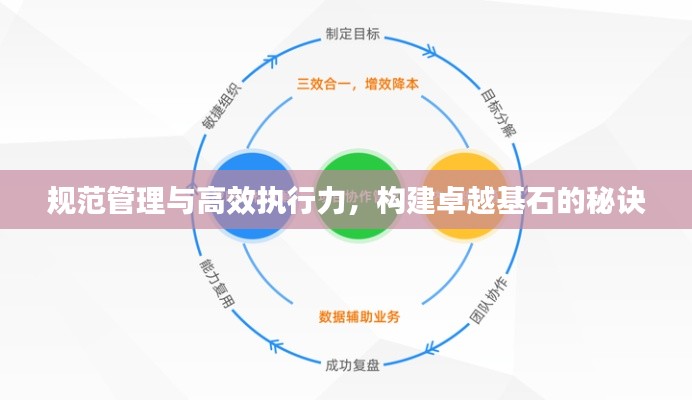 规范管理与高效执行力,构建卓越基石的秘诀