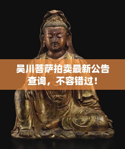 吴川菩萨拍卖最新公告查询,不容错过!