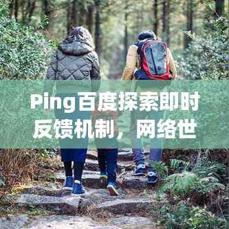 Ping百度探索即时反馈机制,网络世界的即时互动体验