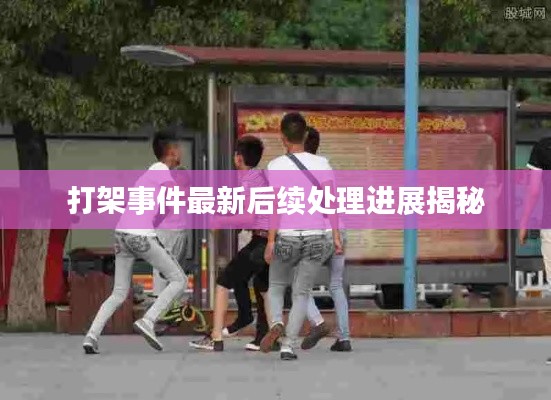 打架事件最新后续处理进展揭秘