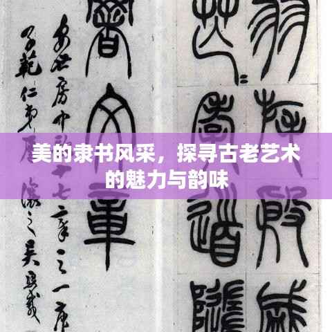 美的隶书风采,探寻古老艺术的魅力与韵味