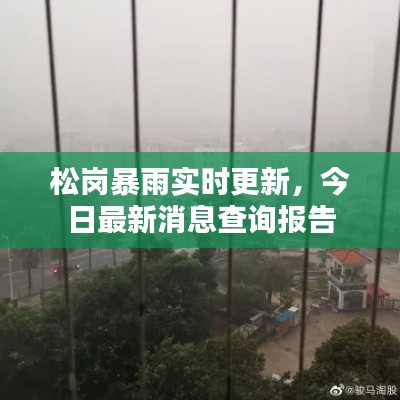 松岗暴雨实时更新，今日最新消息查询报告