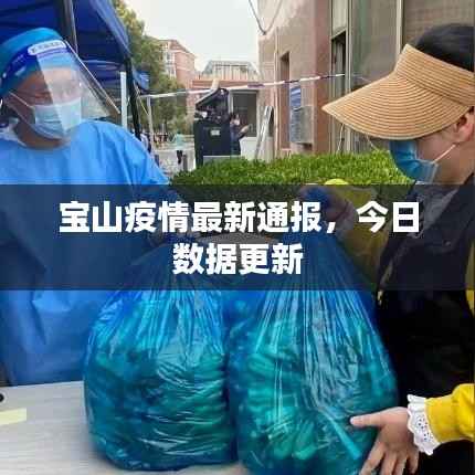 宝山疫情最新通报,今日数据更新
