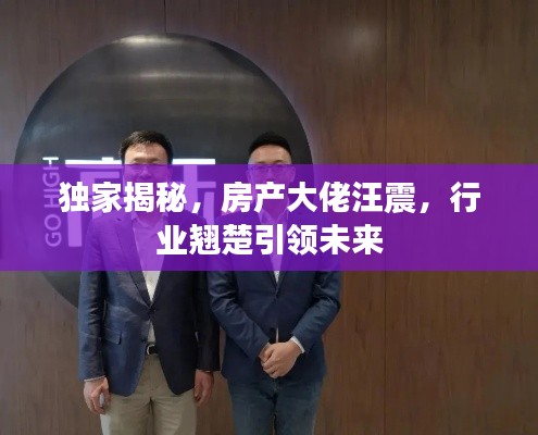 独家揭秘,房产大佬汪震,行业翘楚引领未来