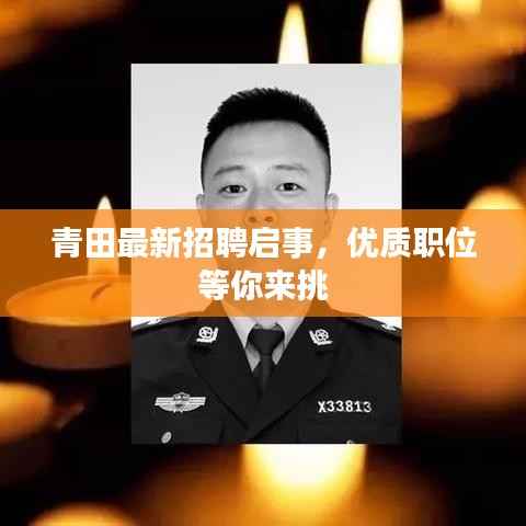 青田最新招聘启事,优质职位等你来挑