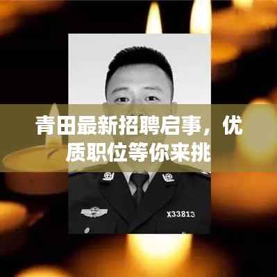 青田最新招聘启事,优质职位等你来挑