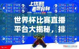 世界杯比赛直播平台大揭秘,排名榜单,哪个平台最火热?