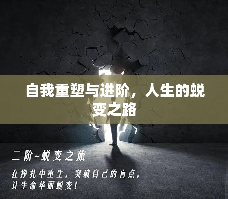 自我重塑与进阶,人生的蜕变之路