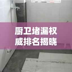 厨卫堵漏权威排名揭晓,行业领军公司一览无余