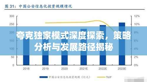 夸克独家模式深度探索，策略分析与发展路径揭秘