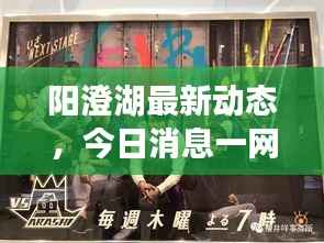 阳澄湖最新动态,今日消息一网打尽!