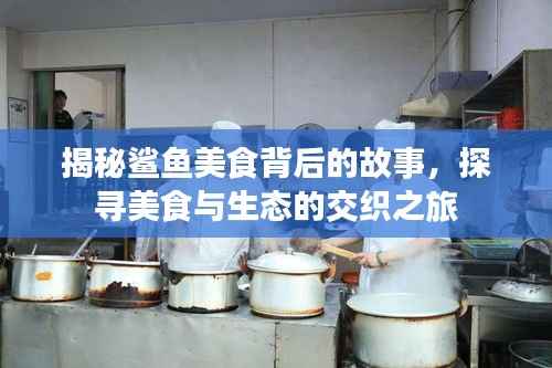 揭秘鲨鱼美食背后的故事,探寻美食与生态的交织之旅