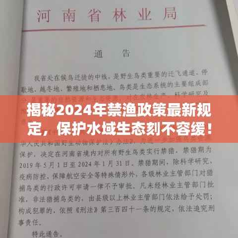 揭秘2024年禁渔政策最新规定，保护水域生态刻不容缓！