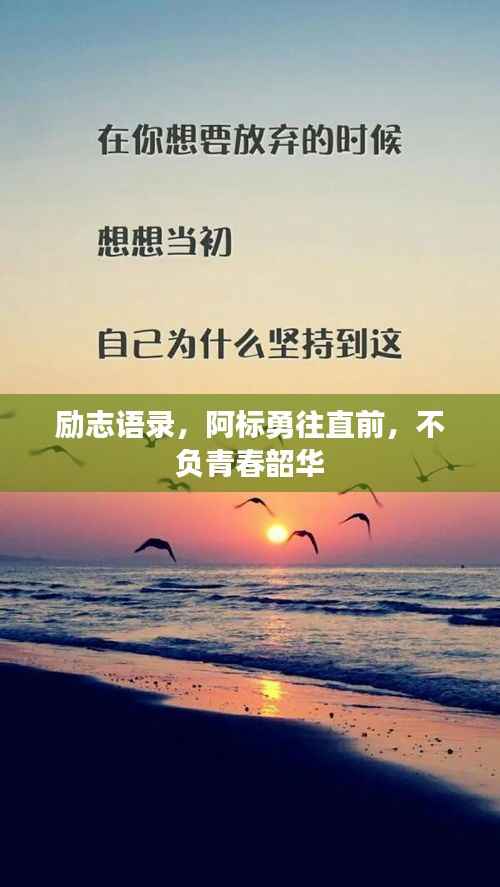 励志语录，阿标勇往直前，不负青春韶华