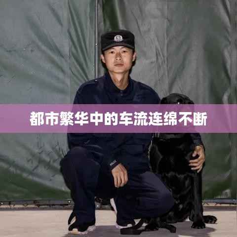 都市繁华中的车流连绵不断