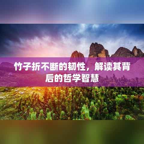 竹子折不断的韧性,解读其背后的哲学智慧