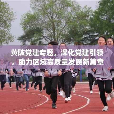 黄陂党建专题,深化党建引领,助力区域高质量发展新篇章