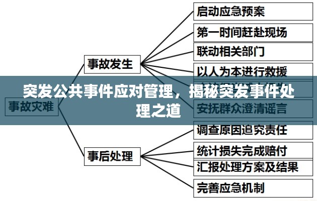突发公共事件应对管理,揭秘突发事件处理之道