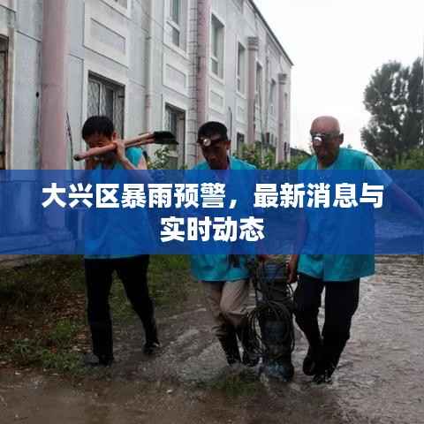 大兴区暴雨预警,最新消息与实时动态