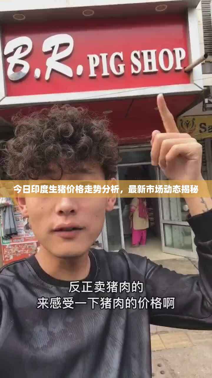 今日印度生猪价格走势分析,最新市场动态揭秘