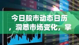 今日股市动态日历,洞悉市场变化,掌握财富增长先机