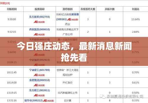 今日强庄动态,最新消息新闻抢先看