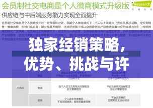 独家经销策略,优势、挑战与许可之路