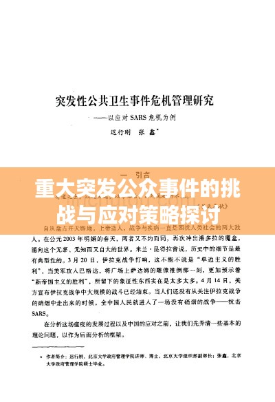 重大突发公众事件的挑战与应对策略探讨