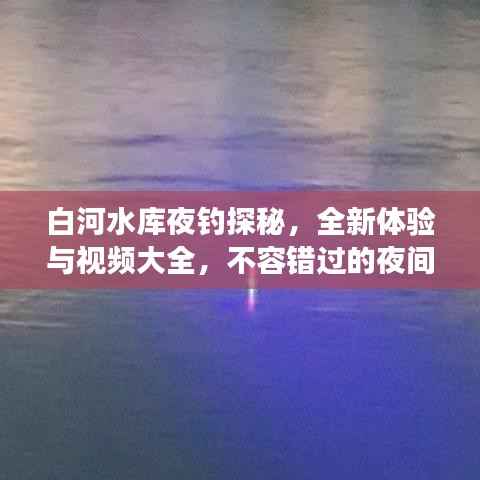 白河水库夜钓探秘,全新体验与视频大全,不容错过的夜间垂钓之旅