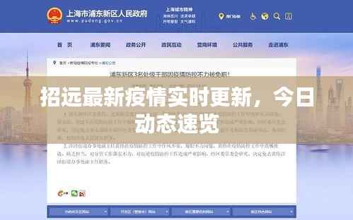 招远最新疫情实时更新,今日动态速览