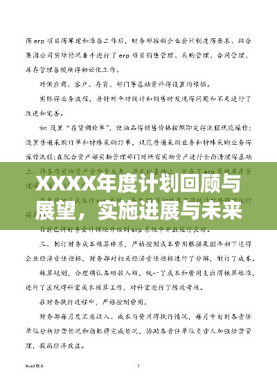 XXXX年度计划回顾与展望,实施进展与未来展望