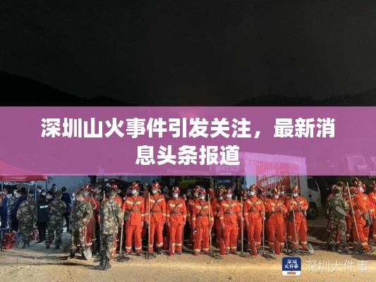 深圳山火事件引发关注,最新消息头条报道