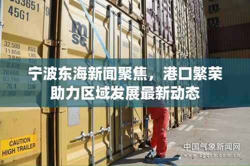 宁波东海新闻聚焦,港口繁荣助力区域发展最新动态
