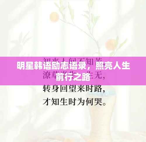 明星韩语励志语录,照亮人生前行之路